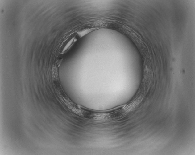 X0000070870096200607150132