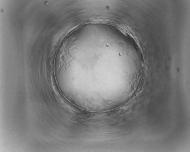 X0000070870097200607150131