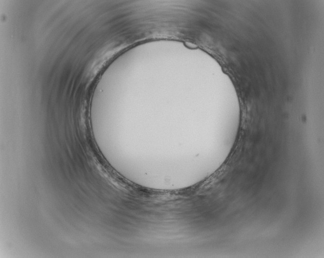 X0000070870098200607150131