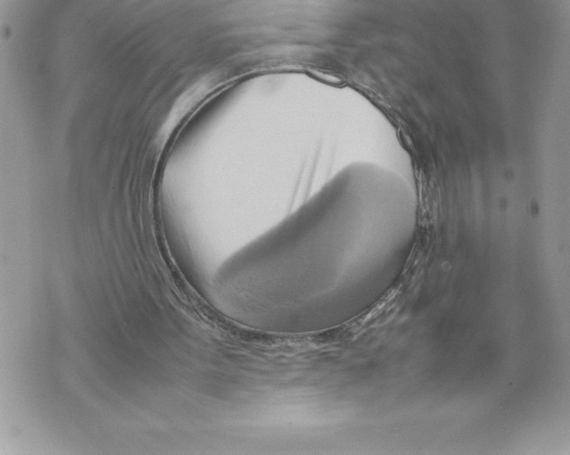 X0000070870099200607150131