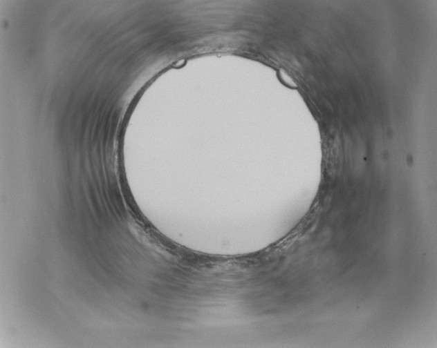 X0000070870100200607150131