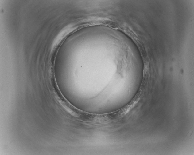 X0000070870101200607150131