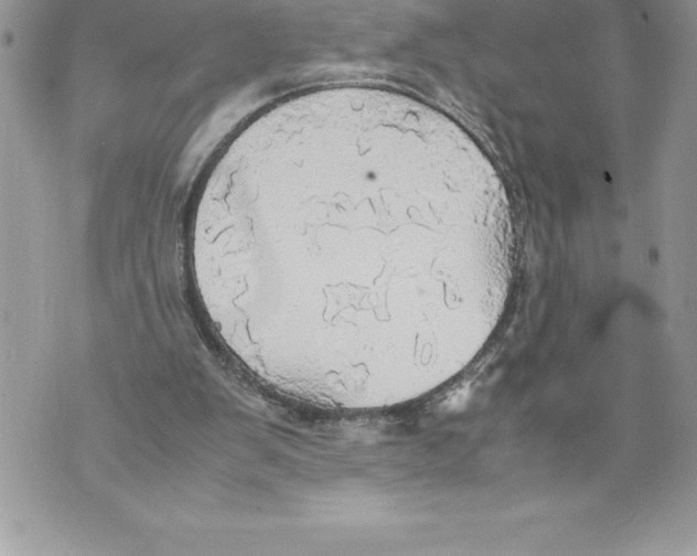 X0000070870103200607150131