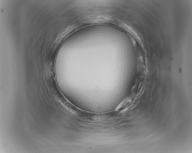 X0000070870105200607150131