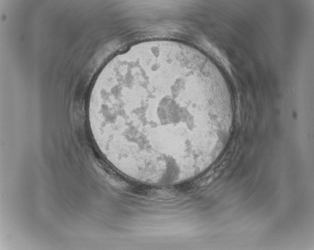 X0000070870107200607150131