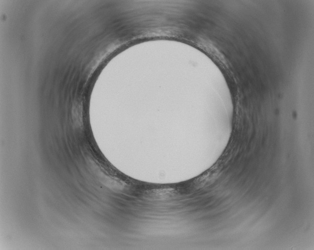 X0000070870108200607150131