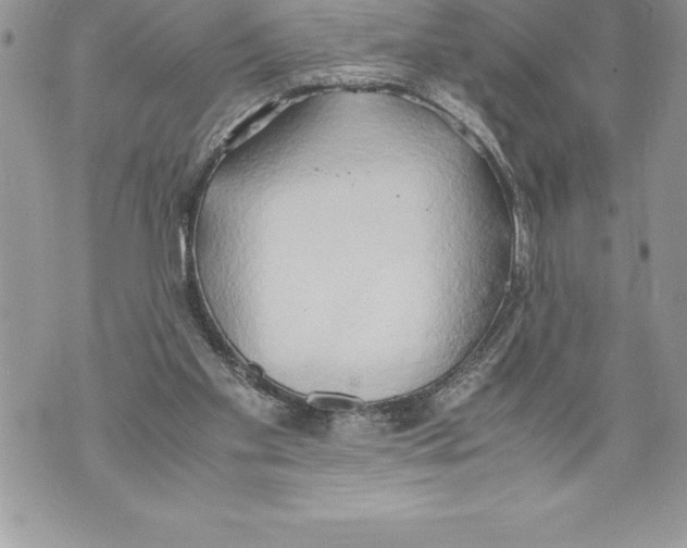 X0000070870109200607150131