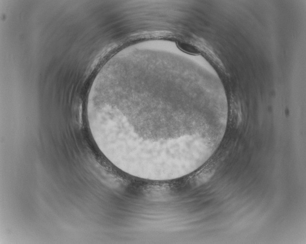 X0000070870110200607150131