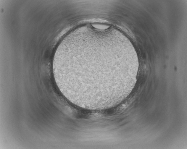 X0000070870111200607150131