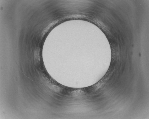 X0000070870112200607150131