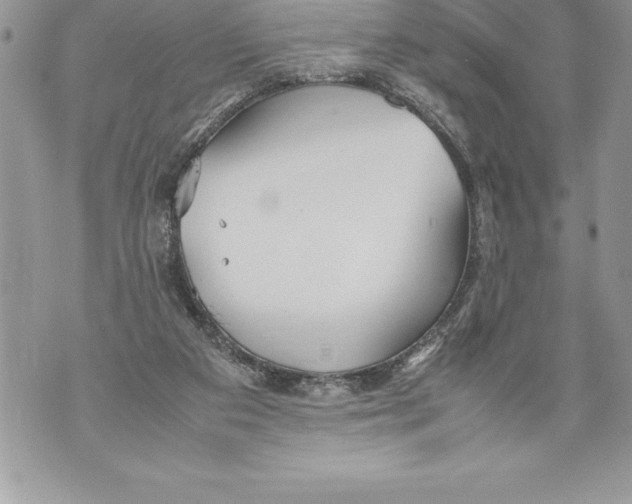 X0000070870113200607150131