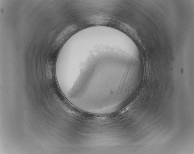 X0000070870114200607150131