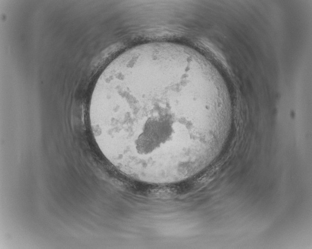 X0000070870115200607150131