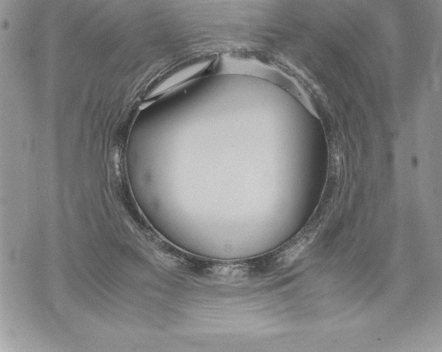 X0000070870117200607150131