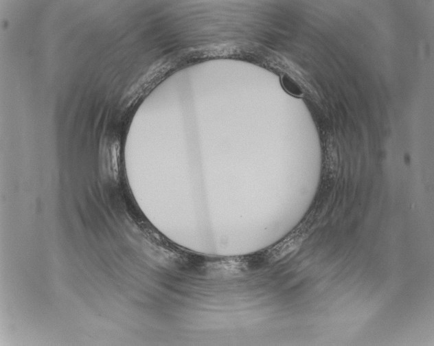 X0000070870118200607150131