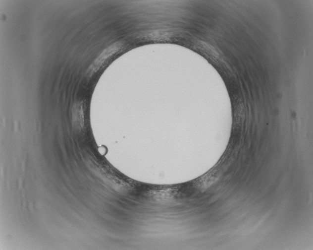 X0000070870120200607150131