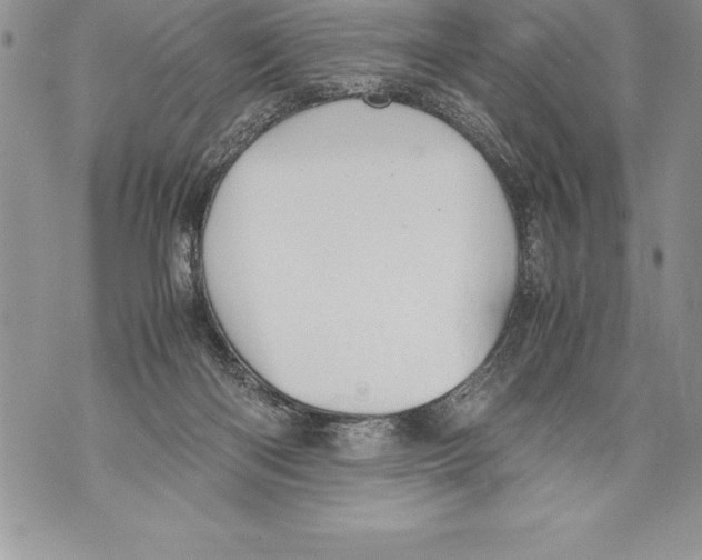 X0000070870122200607150131