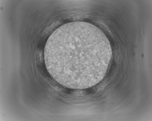 X0000070870123200607150131