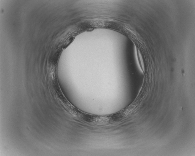 X0000070870125200607150131