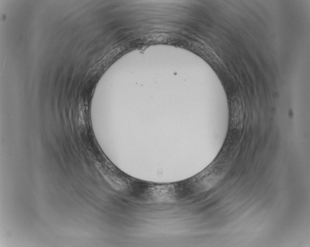 X0000070870126200607150131