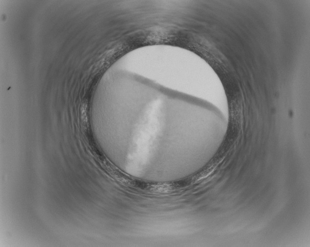 X0000070870127200607150131