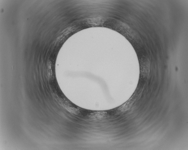 X0000070870128200607150131