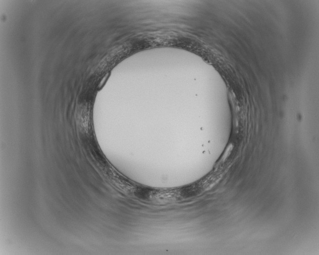 X0000070870129200607150131