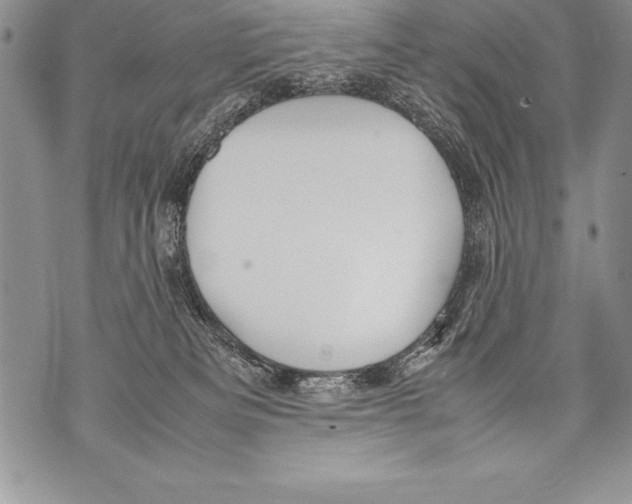 X0000070870133200607150131