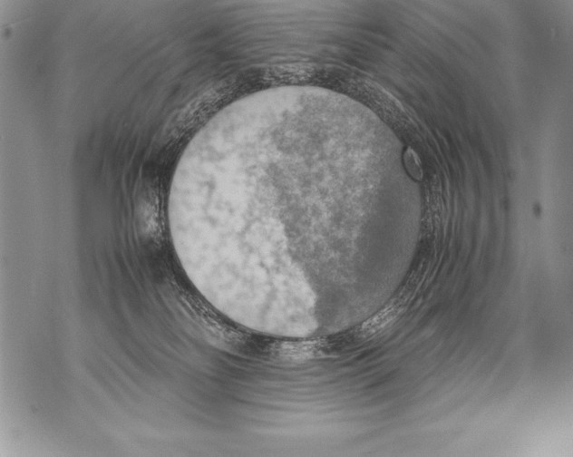 X0000070870134200607150131