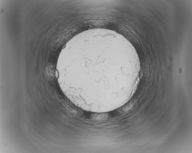 X0000070870135200607150131