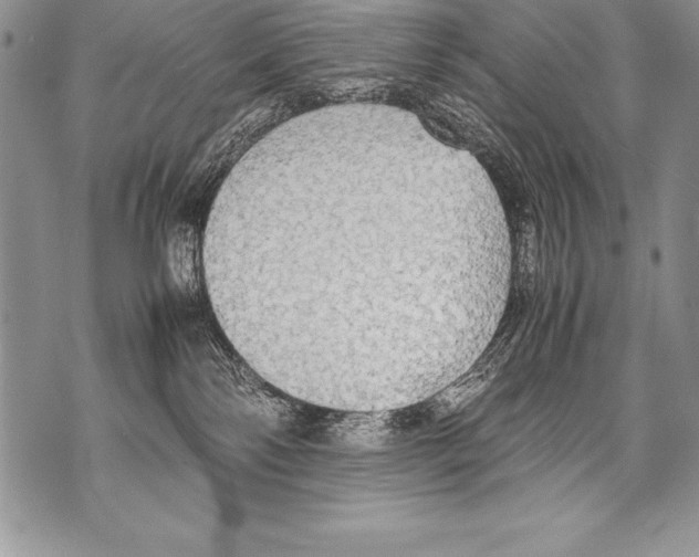 X0000070870138200607150131