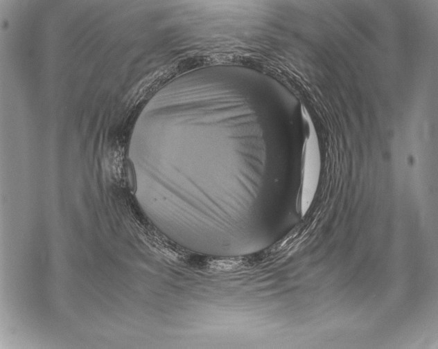 X0000070870139200607150131