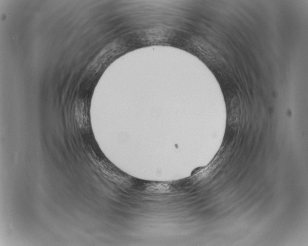 X0000070870140200607150131