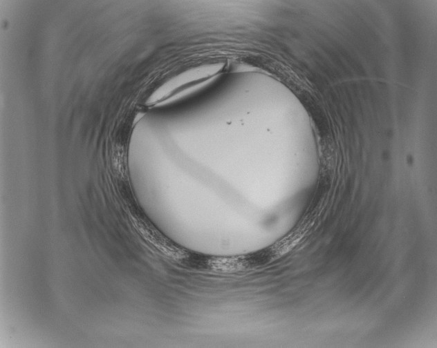 X0000070870141200607150131