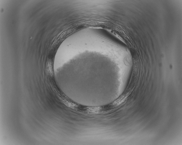 X0000070870143200607150130