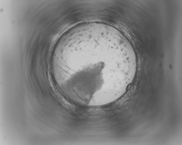 X0000070870145200607150130