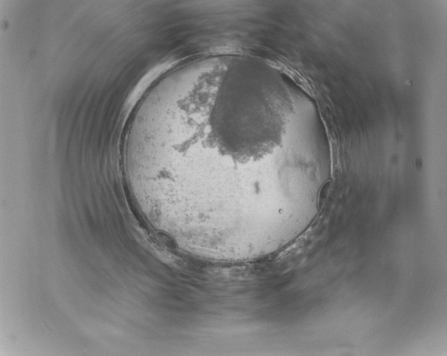 X0000070870147200607150130