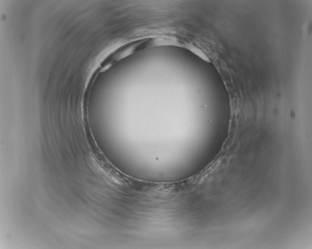 X0000070870148200607150130