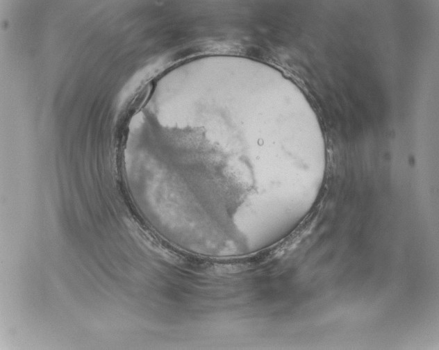 X0000070870149200607150130