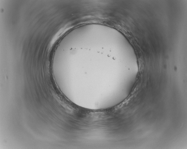 X0000070870150200607150130