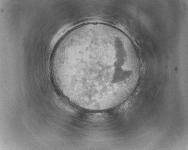 X0000070870151200607150130