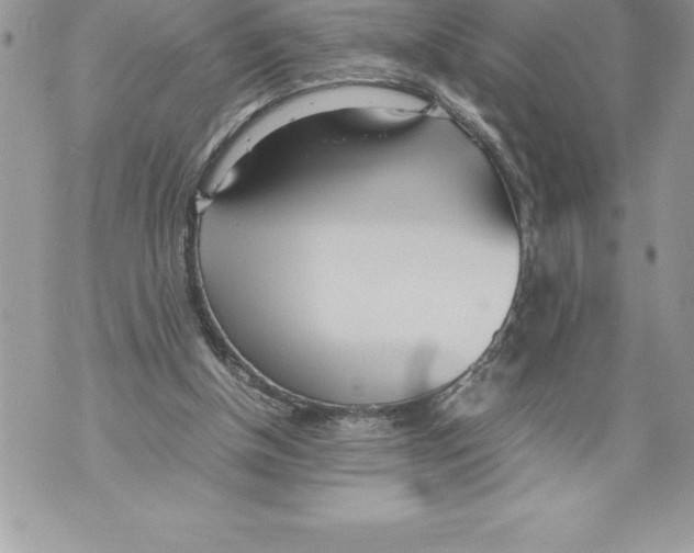 X0000070870154200607150130