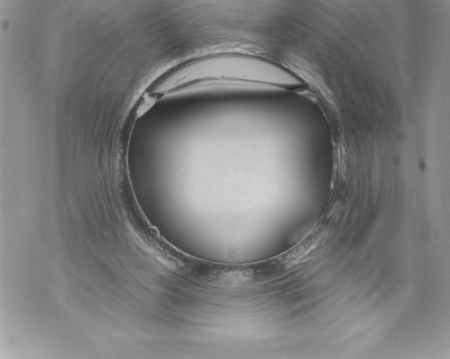 X0000070870156200607150130