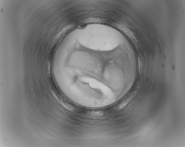 X0000070870157200607150130