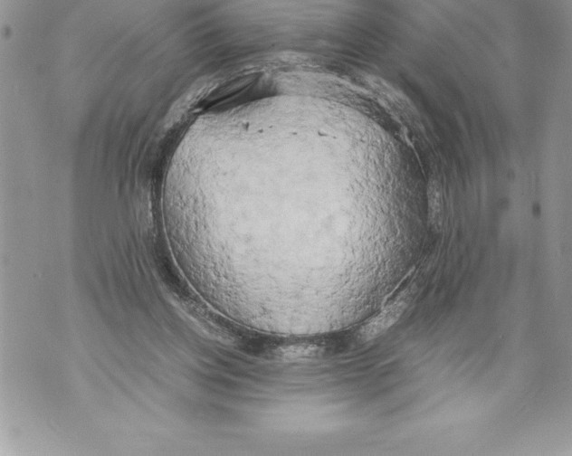 X0000070870158200607150130