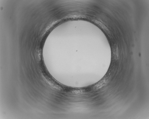 X0000070870160200607150130