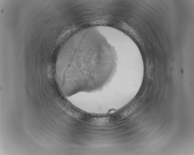 X0000070870161200607150130