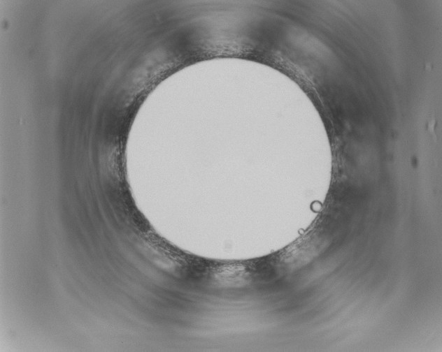 X0000070870162200607150130