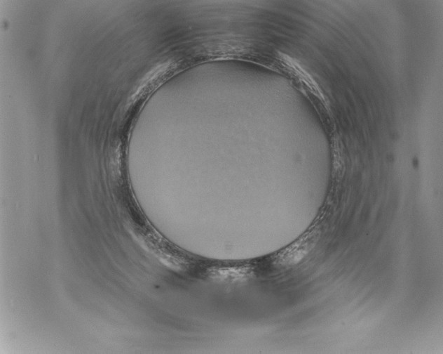 X0000070870163200607150130