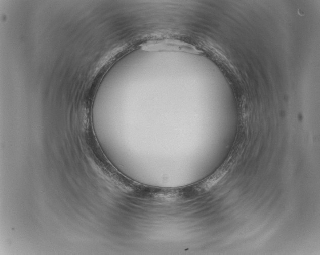 X0000070870164200607150130